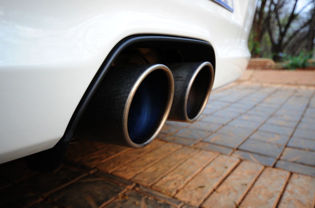 Name:  DSC_5956_zps0de84430.jpg
Views: 252
Size:  67.5 KB