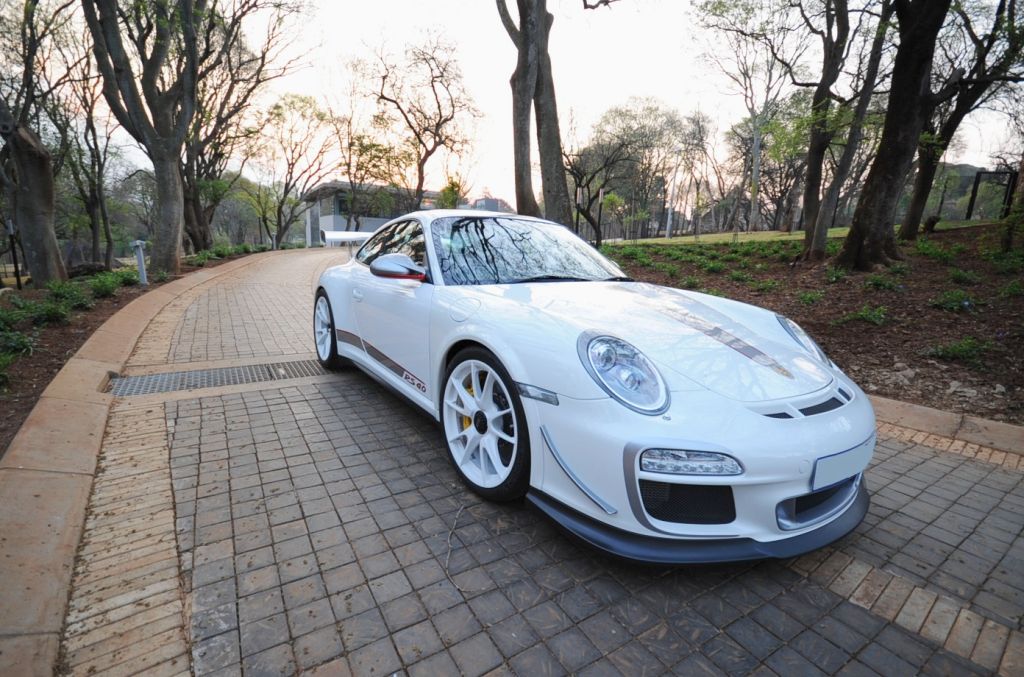 Name:  DSC_5951_zps6fd36697.jpg
Views: 325
Size:  158.1 KB