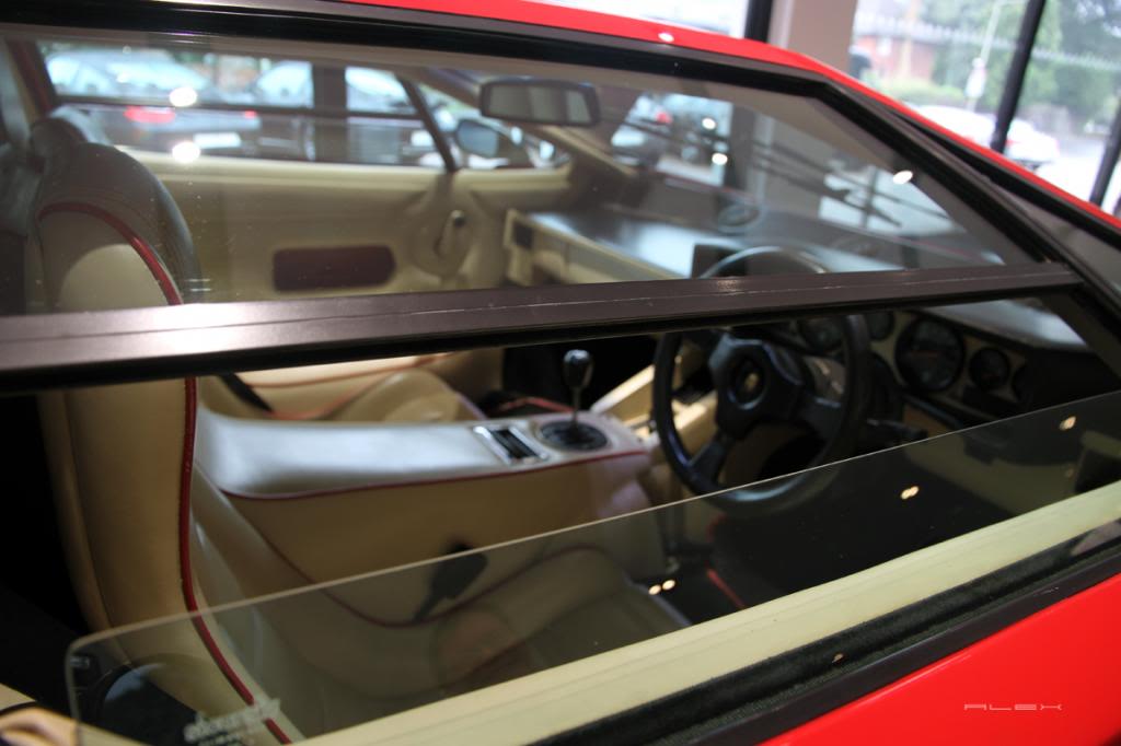 Name:  IMG_4690.jpg
Views: 80
Size:  63.2 KB