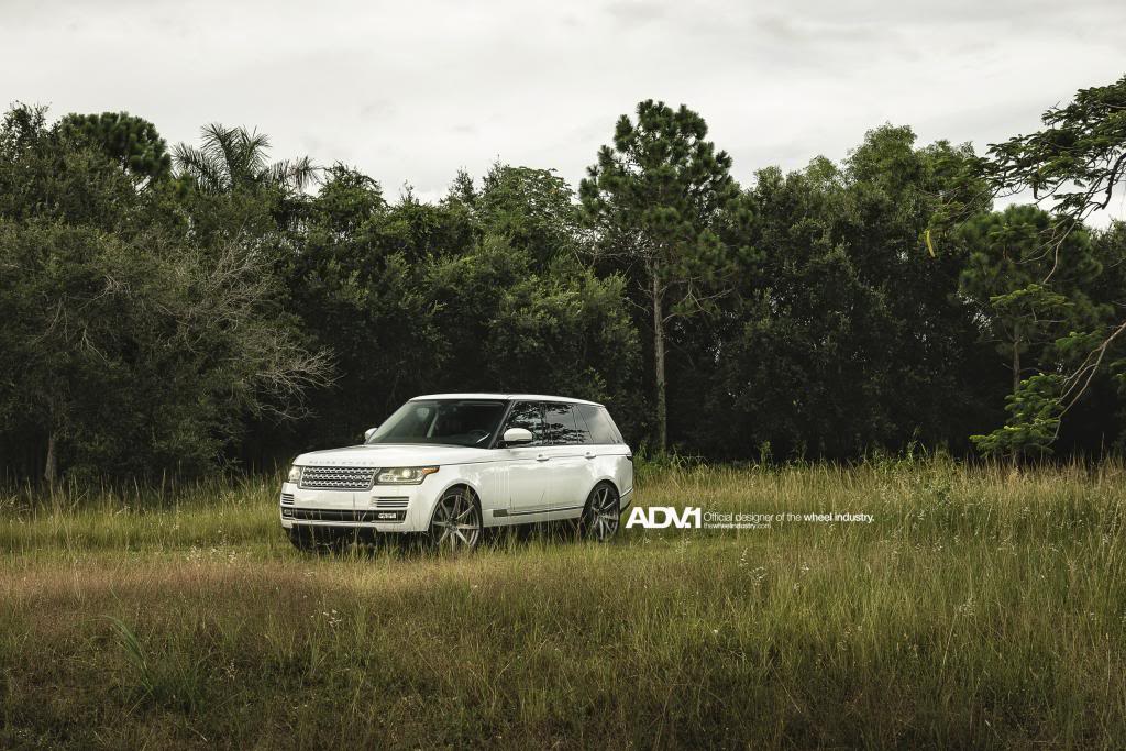 Name: NewerADV1Ranger16.jpg
Views: 208
Size: 137.1 KB