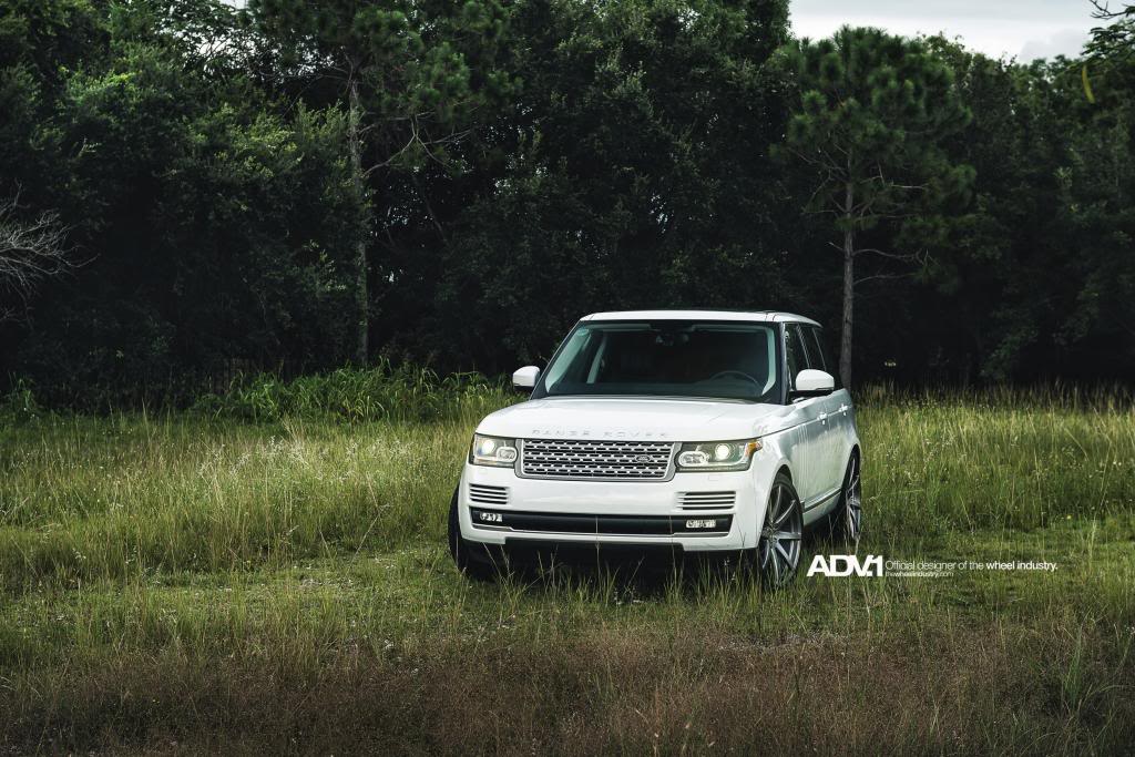 Name: NewerADV1Ranger15.jpg
Views: 197
Size: 137.1 KB