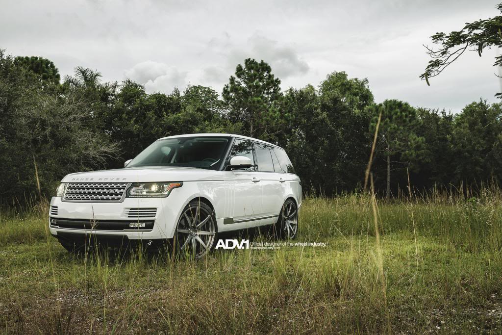 Name: NewerADV1Ranger14.jpg
Views: 175
Size: 147.8 KB