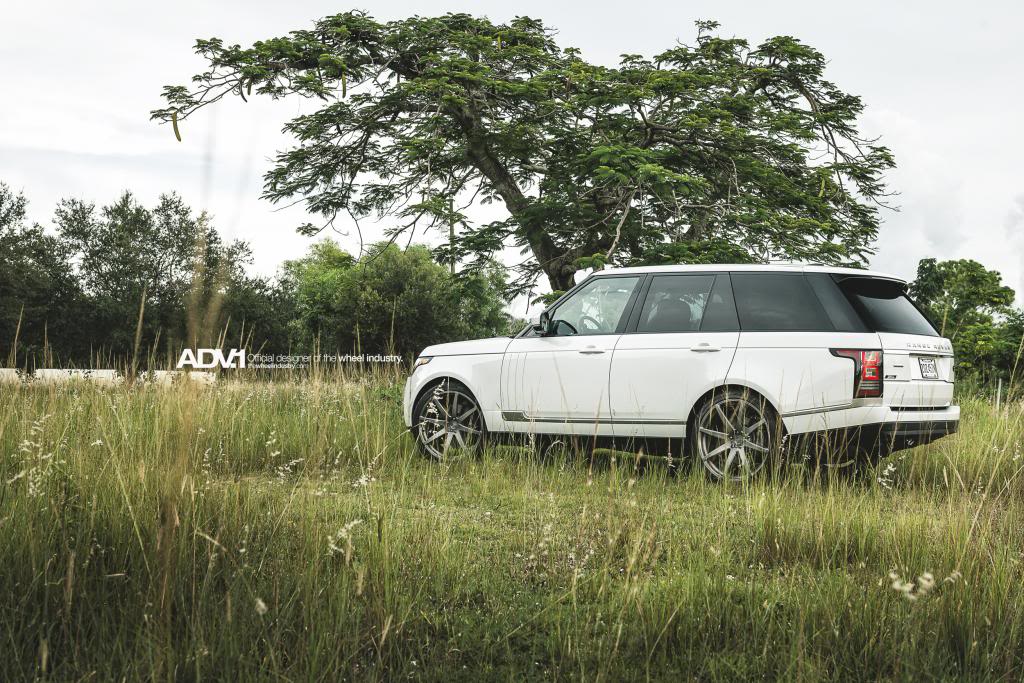 Name: NewerADV1Ranger10.jpg
Views: 221
Size: 176.4 KB