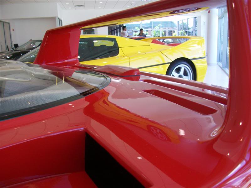 Name:  100_8031Medium.jpg
Views: 147
Size:  54.6 KB