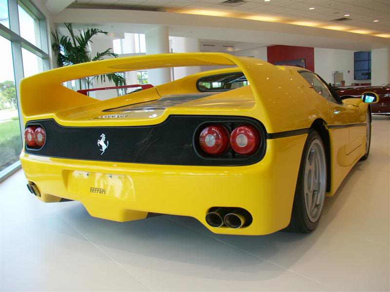 Name:  100_8018Medium.jpg
Views: 248
Size:  53.0 KB