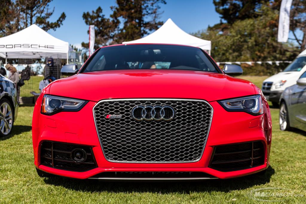 Name:  IMG_1514-Edit_zps309ced82.jpg
Views: 72
Size:  128.5 KB