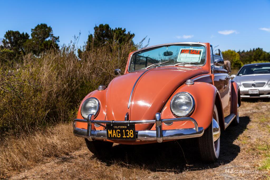 Name:  IMG_1524-Edit_zps137eb440.jpg
Views: 47
Size:  124.9 KB