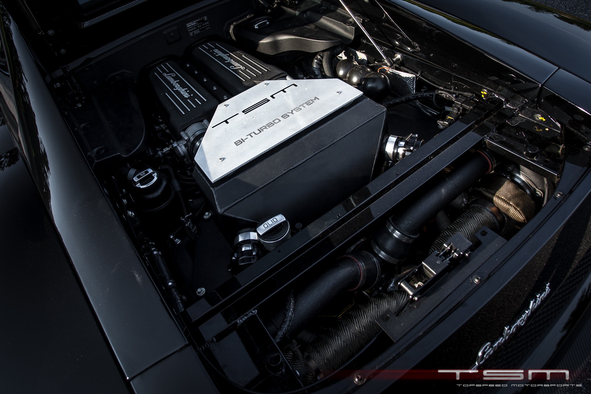 Name:  FF9A0746-Edit_zps4f7534ab.jpg
Views: 129
Size:  1.51 MB