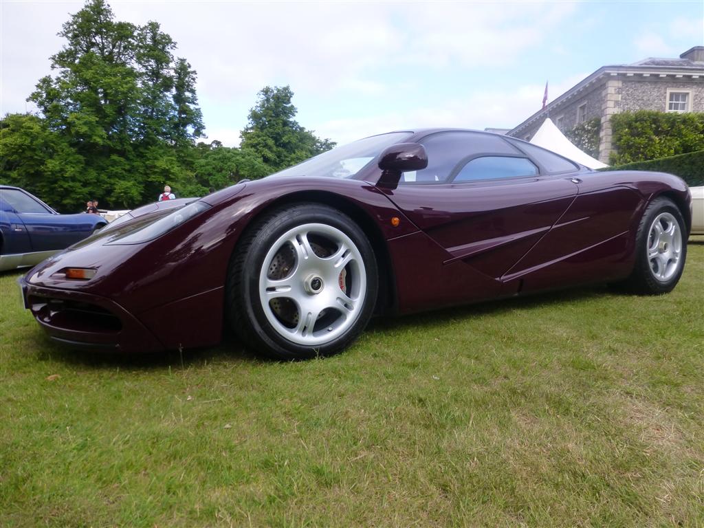 Name:  P1190473Large_zps9bc52f6a.jpg
Views: 641
Size:  137.1 KB