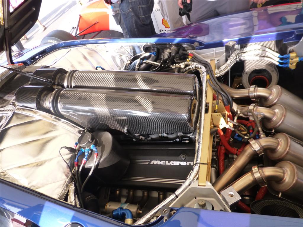 Name:  P1210241Large_zps61bf32b5.jpg
Views: 671
Size:  147.2 KB