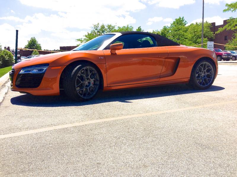 Name:  r8insun_zps23fcca22.jpg
Views: 123
Size:  109.8 KB