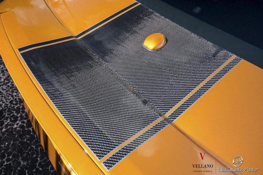 Name:  20130531_supersnake_vcx_concave_22_carbon_fiber_6_zpsb7957f75.jpg
Views: 210
Size:  144.7 KB