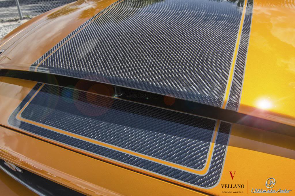 Name:  20130531_supersnake_vcx_concave_22_carbon_fiber_5_zpsd75c2bd7.jpg
Views: 158
Size:  137.5 KB