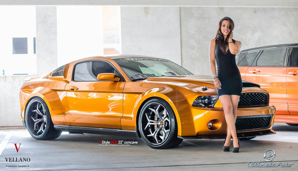 Name:  MUSTANG_VCX_1_zps27cd30c4.jpg
Views: 202
Size:  357.1 KB