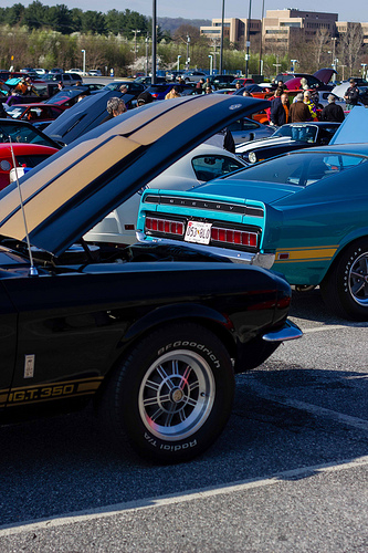 Name: Mustang_zps0a4078a9.jpg
Views: 85
Size: 148.4 KB