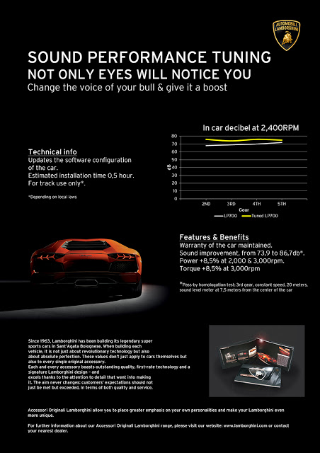 Name:  FlyerSoundPerformanceTuning.jpg
Views: 193
Size:  70.4 KB