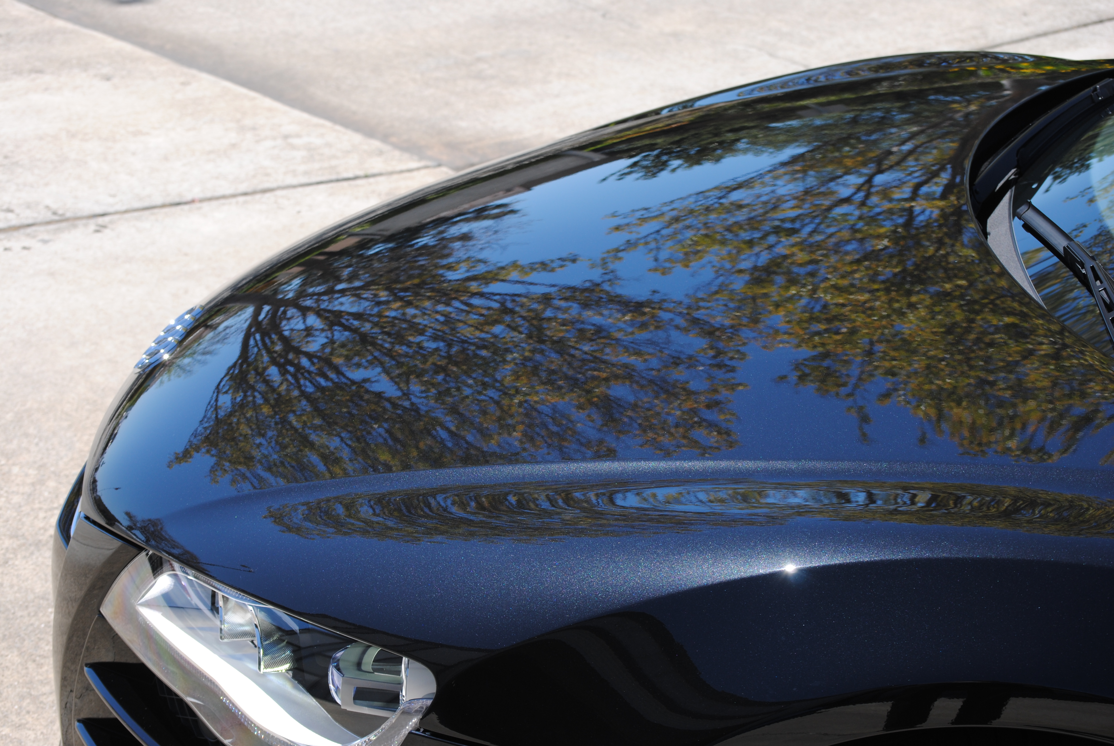 Name:  Nikon017_zps86e28ba4.jpg
Views: 121
Size:  3.94 MB