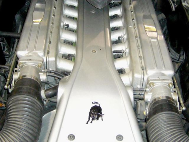 Name:  260825_zpsf8e9a40f.jpg
Views: 169
Size:  48.3 KB