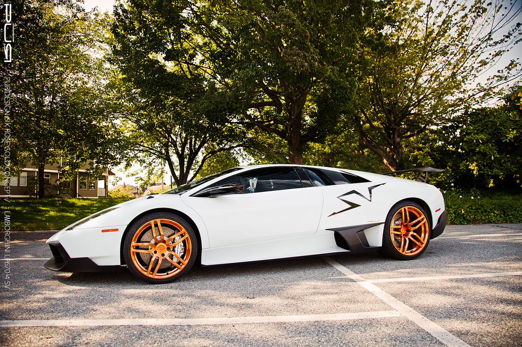 Name:  LP6706IXMonoGold_zps691351ce.jpg
Views: 67
Size:  866.2 KB