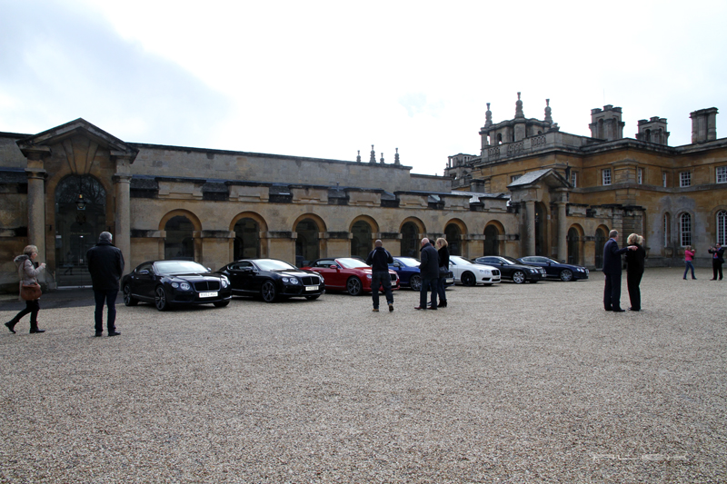 Name:  IMG_4509.jpg
Views: 54
Size:  425.2 KB