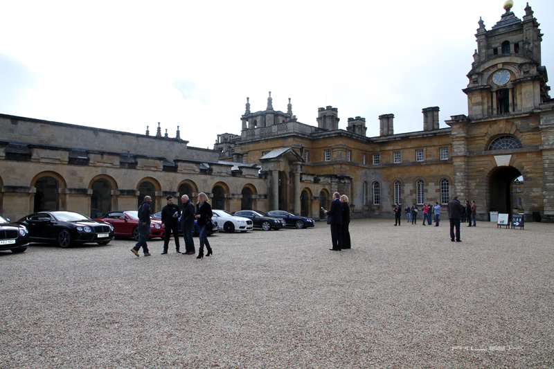 Name:  IMG_4510.jpg
Views: 60
Size:  412.1 KB