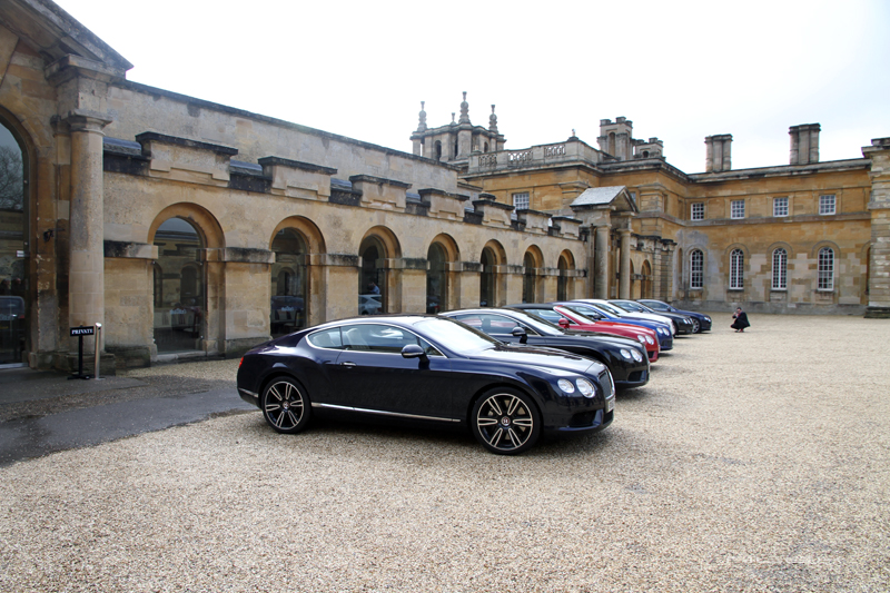 Name:  IMG_4511.jpg
Views: 56
Size:  451.8 KB