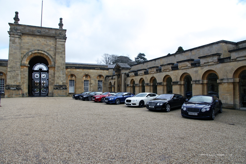 Name:  IMG_4515.jpg
Views: 60
Size:  443.1 KB