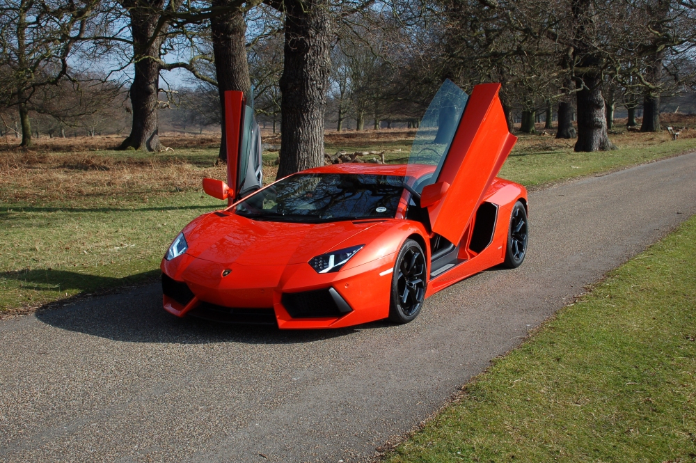 Name:  Dsc_1039_zps9fd9a13b.jpg
Views: 121
Size:  671.3 KB