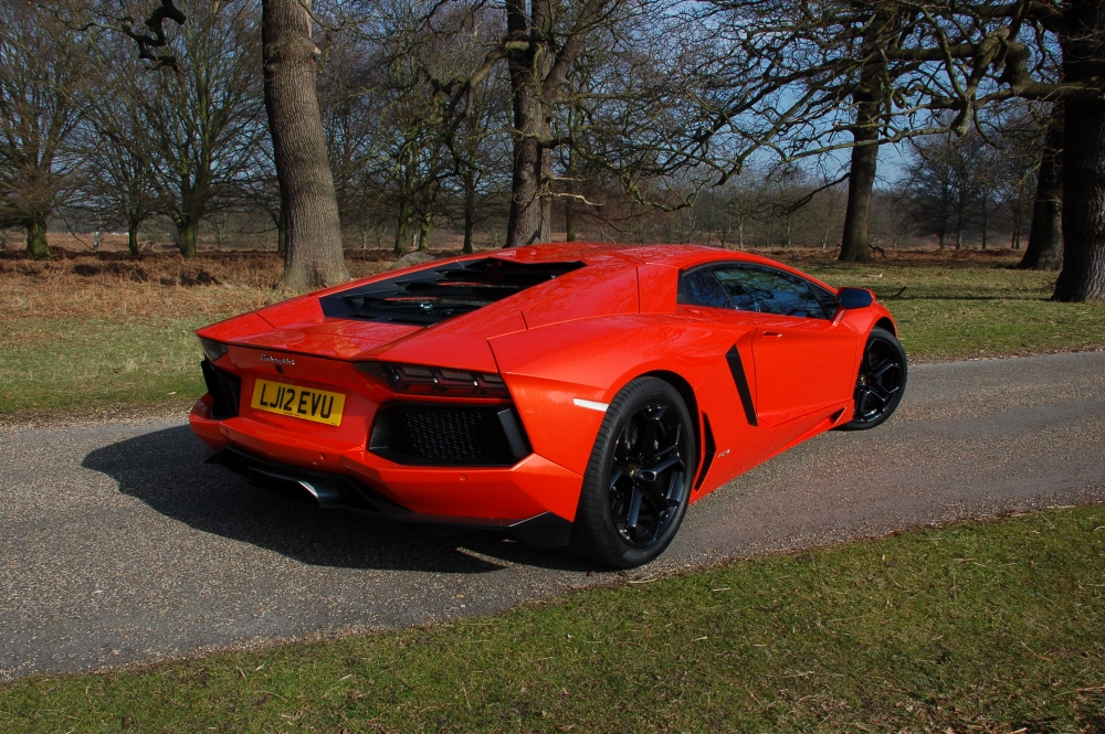 Name:  Dsc_1055_zps39ec30da.jpg
Views: 110
Size:  654.5 KB