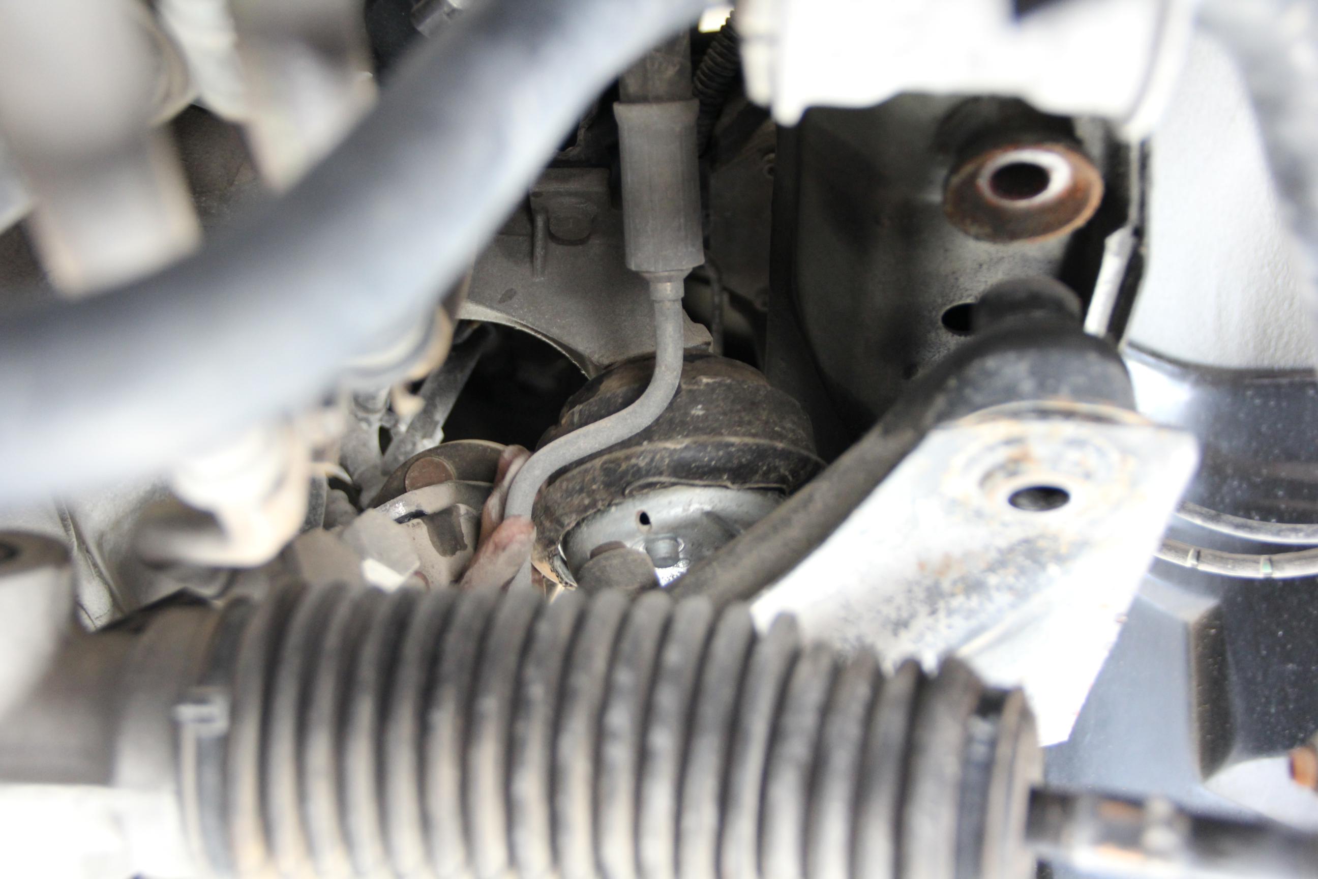 Name:  IMG_9291_2592x1728-1.jpg
Views: 288
Size:  294.9 KB