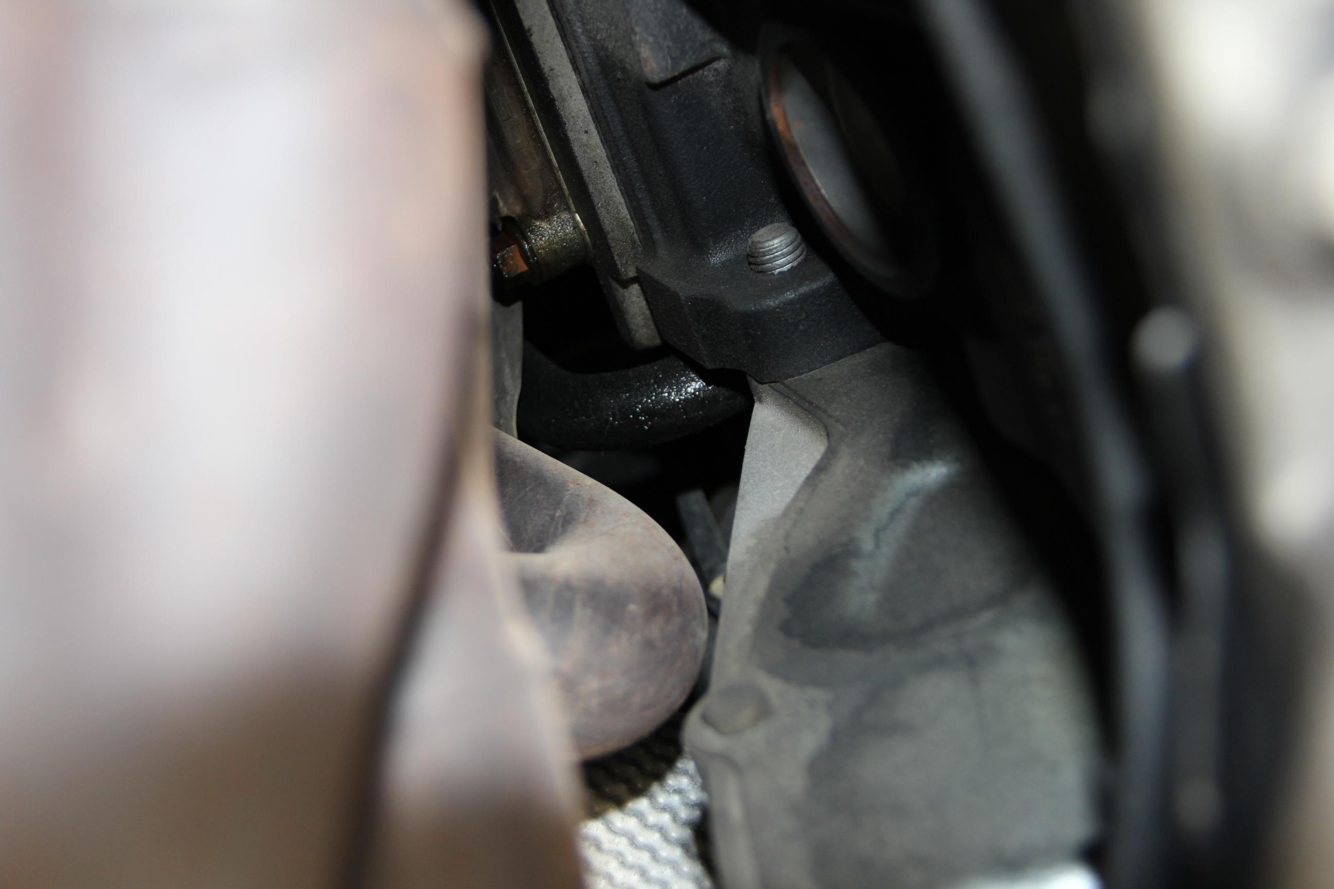 Name:  IMG_9309_2592x1728-1.jpg
Views: 305
Size:  212.2 KB