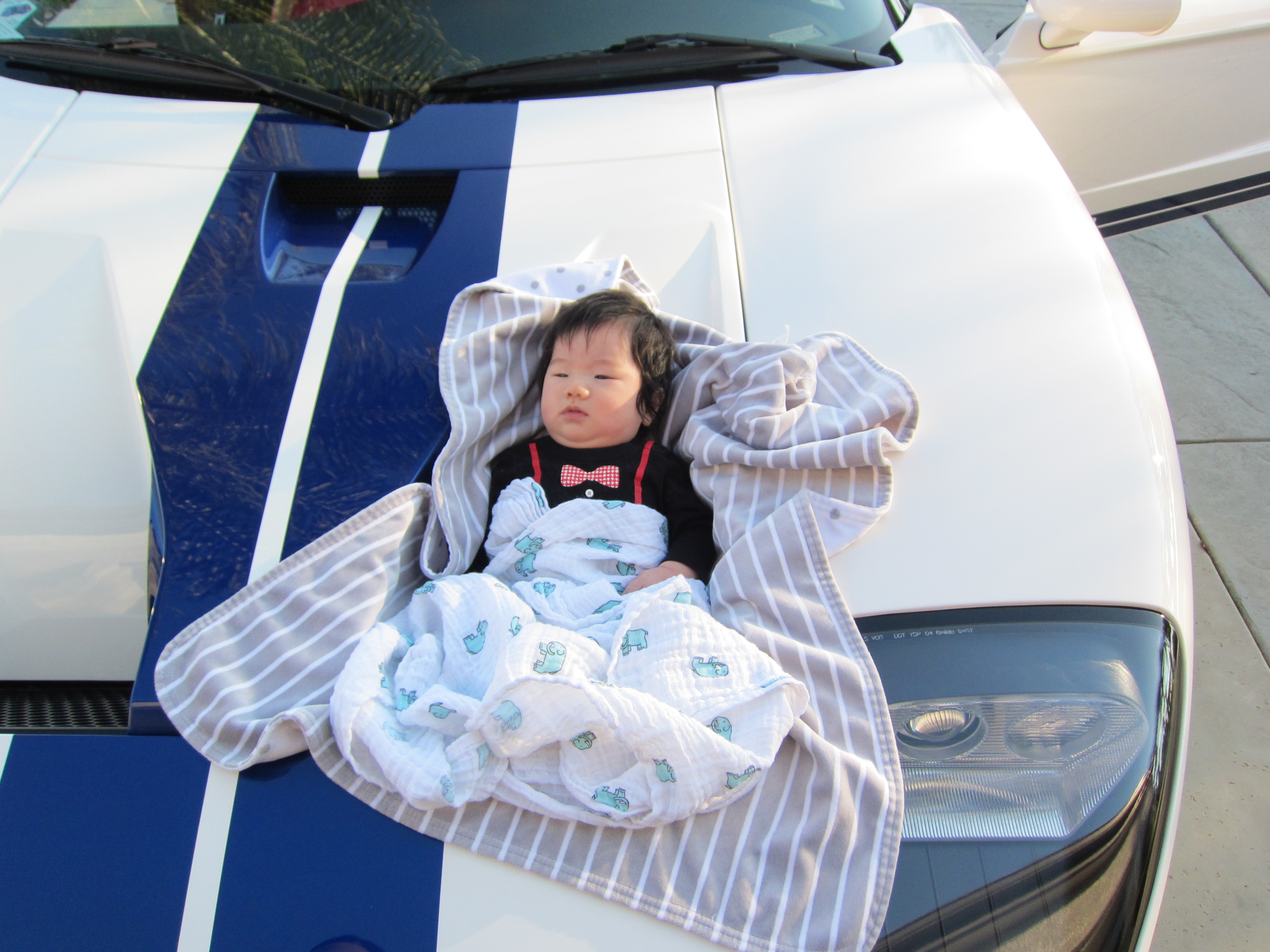 Name:  IMG_1749_zpse1825b32.jpg
Views: 36
Size:  1.75 MB