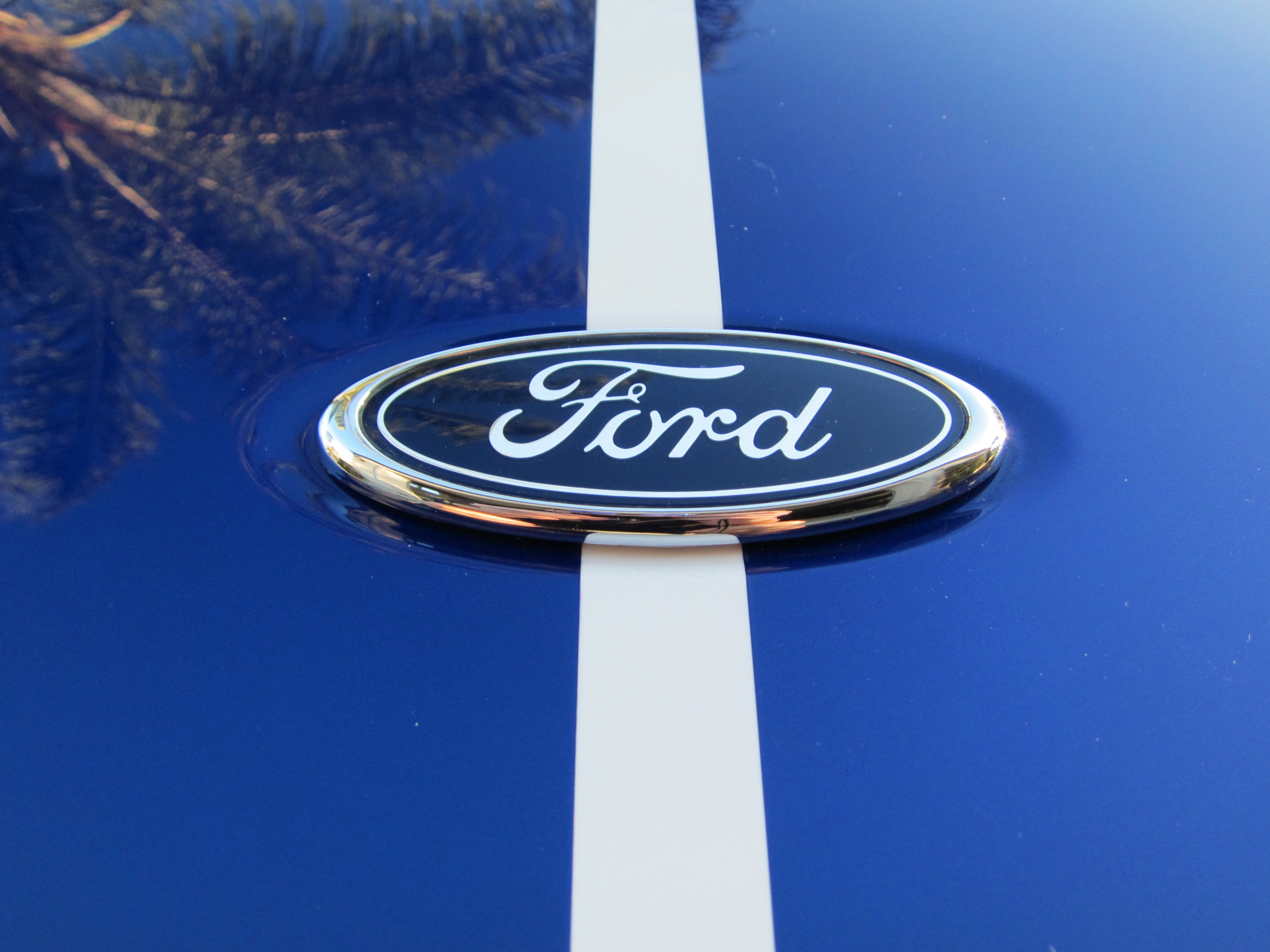 Name:  IMG_1793_zps2e9f01cb.jpg
Views: 116
Size:  1.89 MB