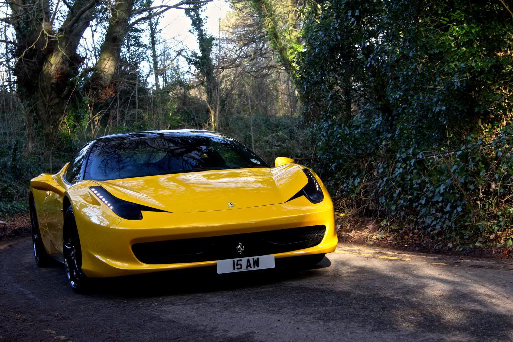 Name:  IMG_1273_zps33bdd4c6.jpg
Views: 189
Size:  157.3 KB