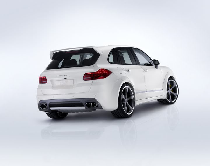 Name:  958mag4.jpg
Views: 87
Size:  26.9 KB