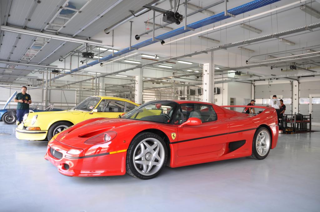 Name:  DSC_0186_zps1d1630b7.jpg
Views: 239
Size:  102.1 KB