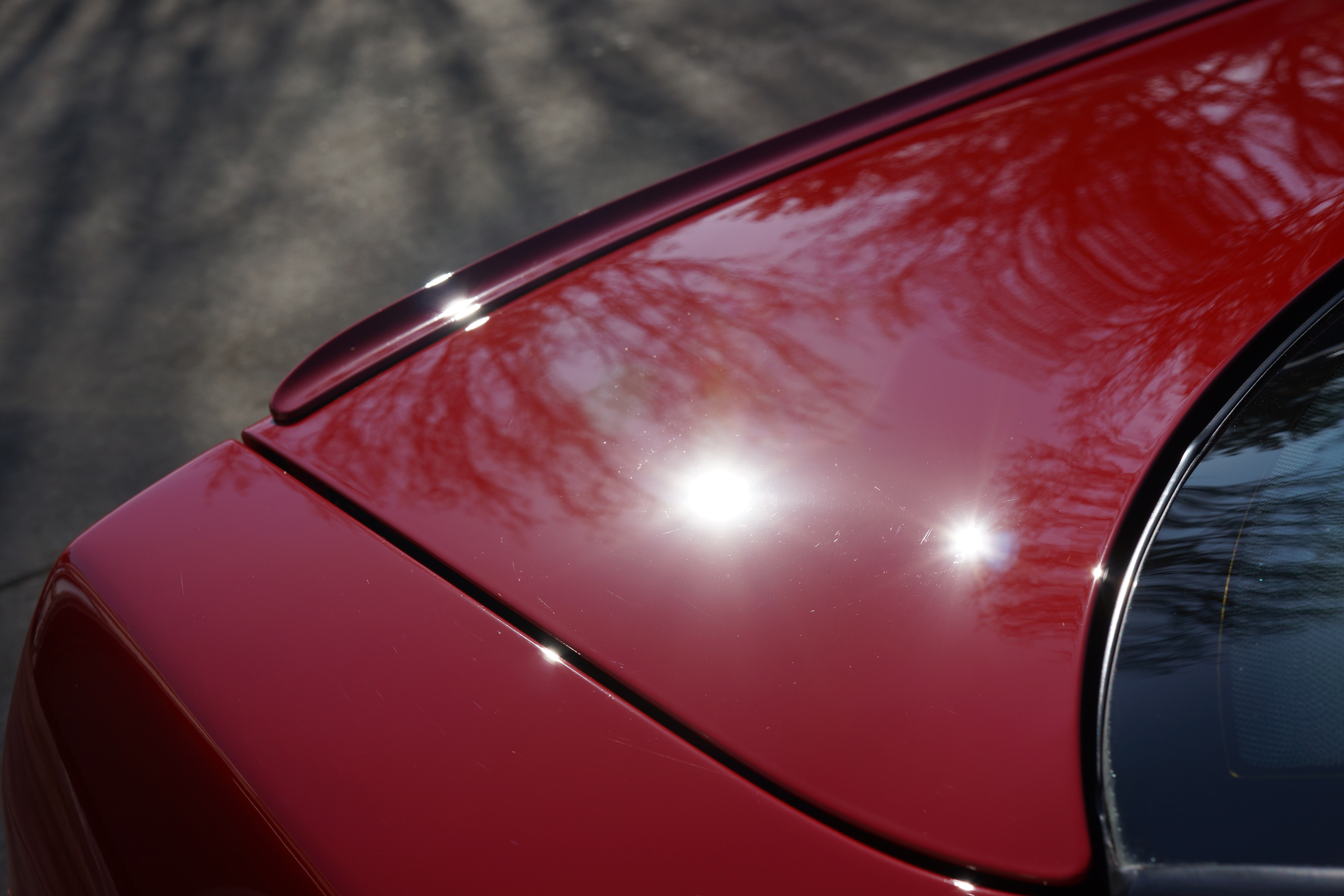 Name:  DSC04776_zps848eb00f.jpg
Views: 273
Size:  4.63 MB