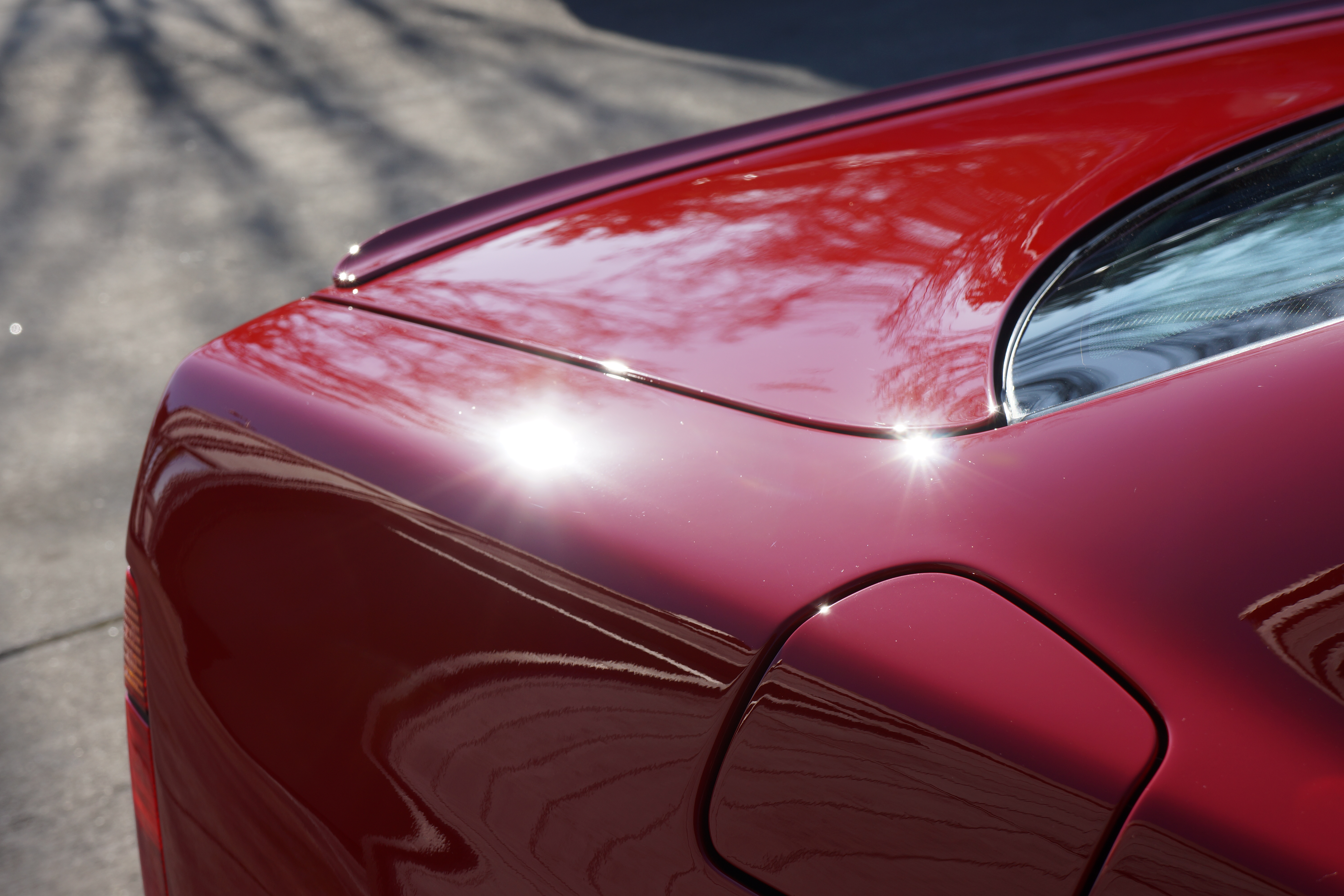 Name:  DSC04778_zpsf814b669.jpg
Views: 274
Size:  4.78 MB