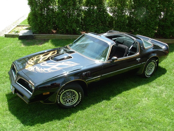 Name:  1978_Trans-Am.jpg
Views: 1000
Size:  146.0 KB