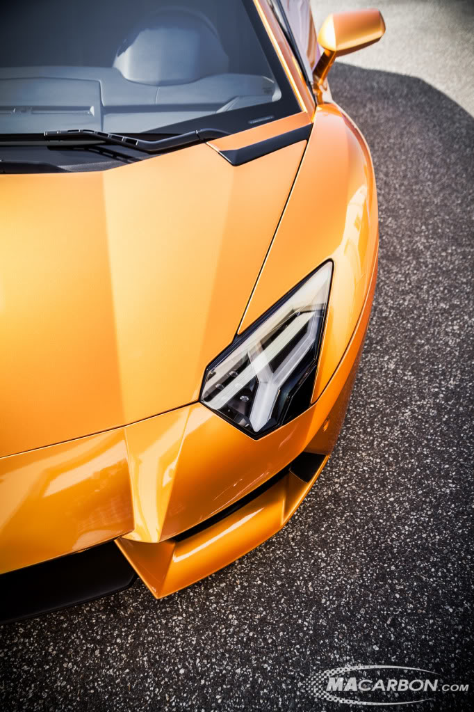 Name:  IMG_7423-Edit_zps143dbce8.jpg
Views: 216
Size:  175.4 KB