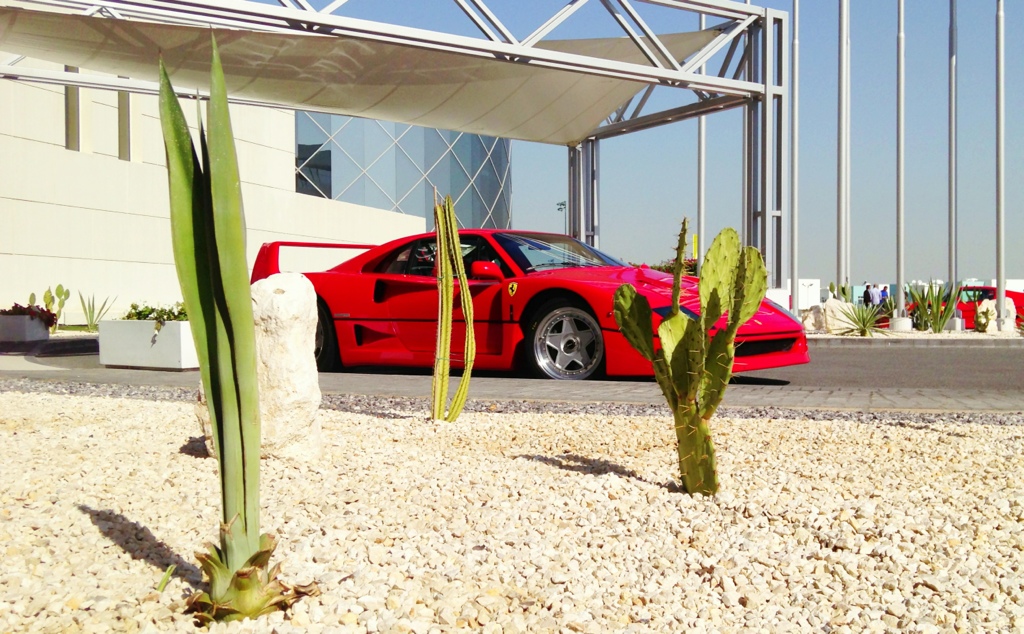 Name:  5873D62A-7FE9-43B8-AFB7-2D0AA8094D3A-3049-000001DB05D2DF42_zps20df78e3.jpg
Views: 243
Size:  335.1 KB