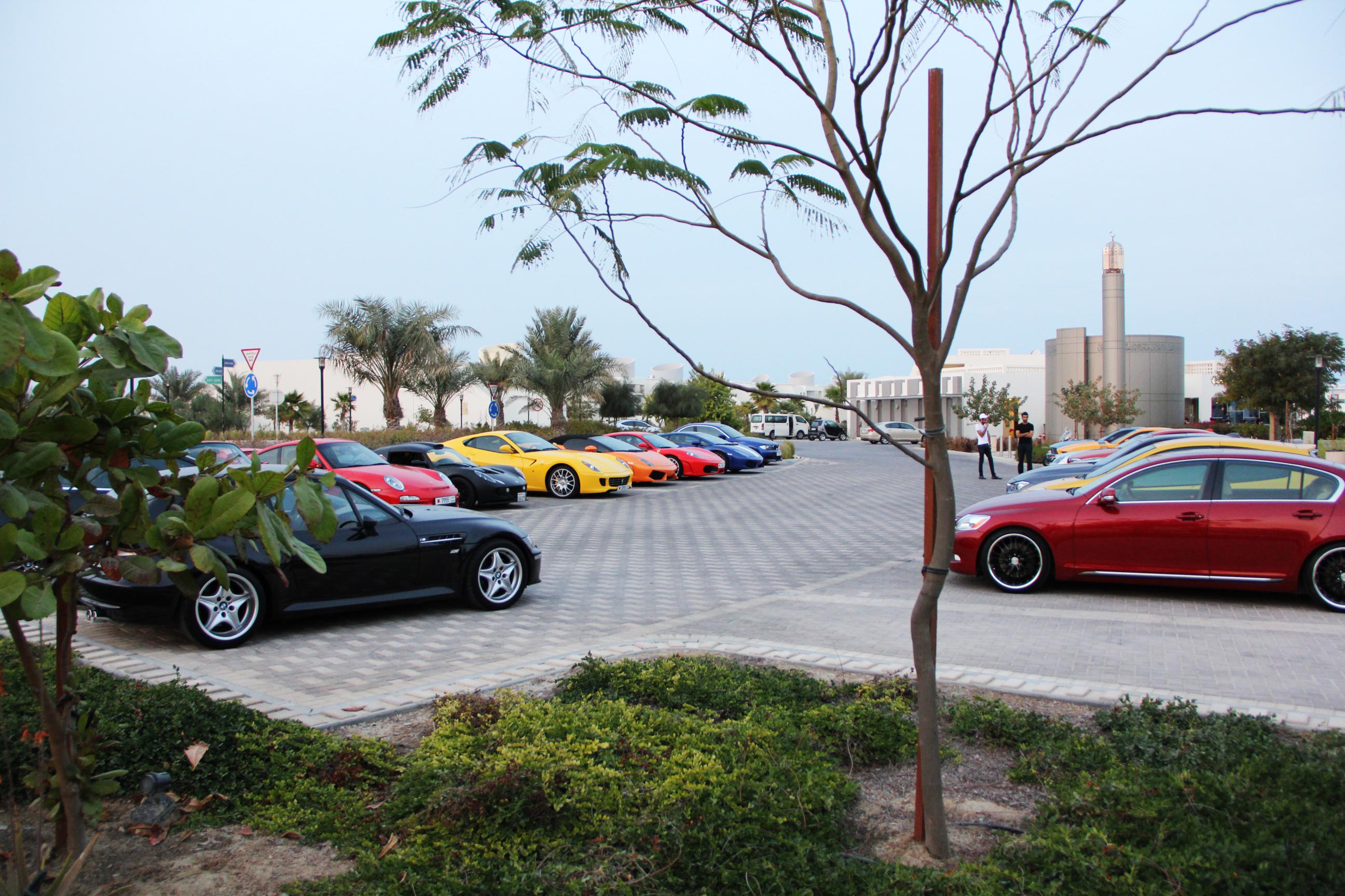 Name:  IMG_9152_2592x1728.jpg
Views: 133
Size:  570.0 KB