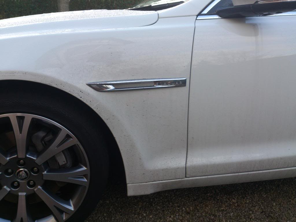 Name:  DSC_0393_zps9dcac923.jpg
Views: 27
Size:  59.4 KB