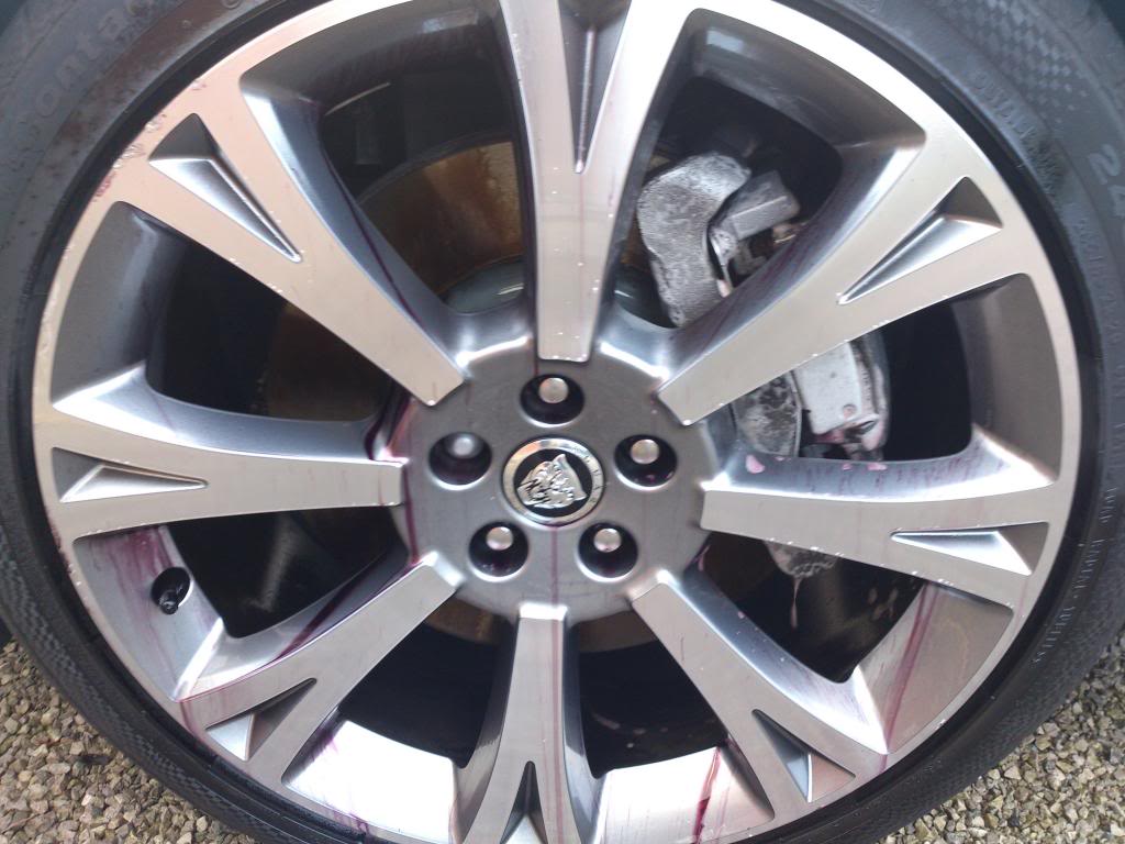 Name:  DSC_0409_zps49a3d842.jpg
Views: 28
Size:  93.9 KB