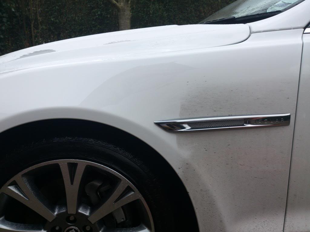 Name:  DSC_0435_zpsd4fb0763.jpg
Views: 31
Size:  52.7 KB