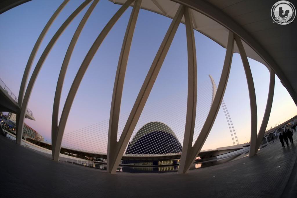 Name:  DSCF2959FOCValencia.jpg
Views: 57
Size:  63.6 KB