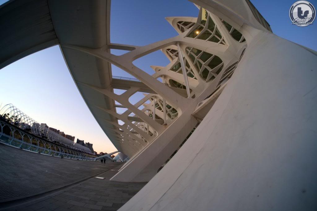 Name:  DSCF2960FOCValencia.jpg
Views: 65
Size:  53.1 KB