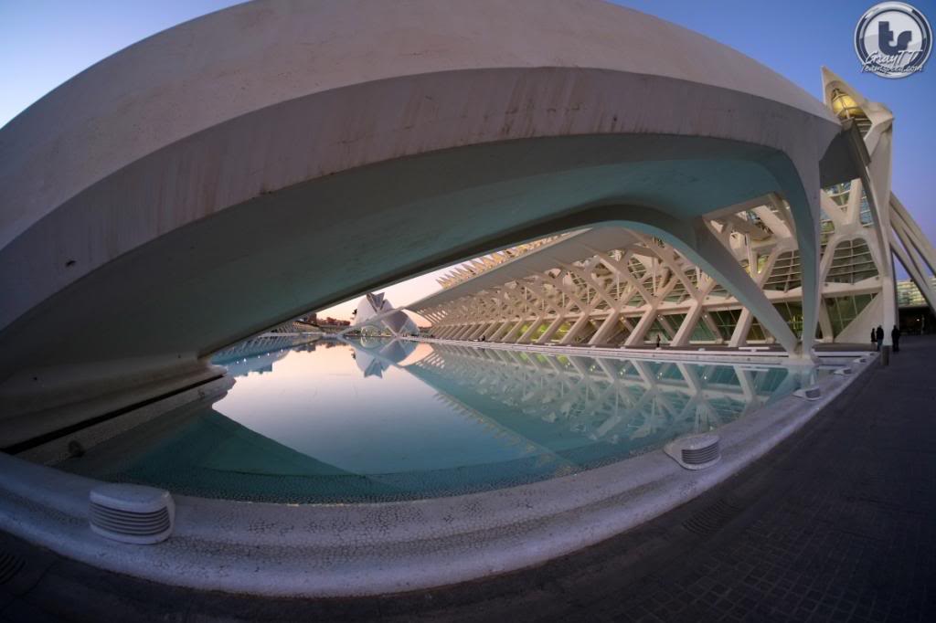 Name:  DSCF2964FOCValencia.jpg
Views: 62
Size:  59.5 KB