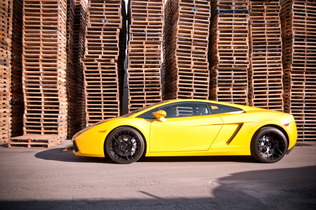 Name:  F310Gallardo.jpg
Views: 290
Size:  268.6 KB