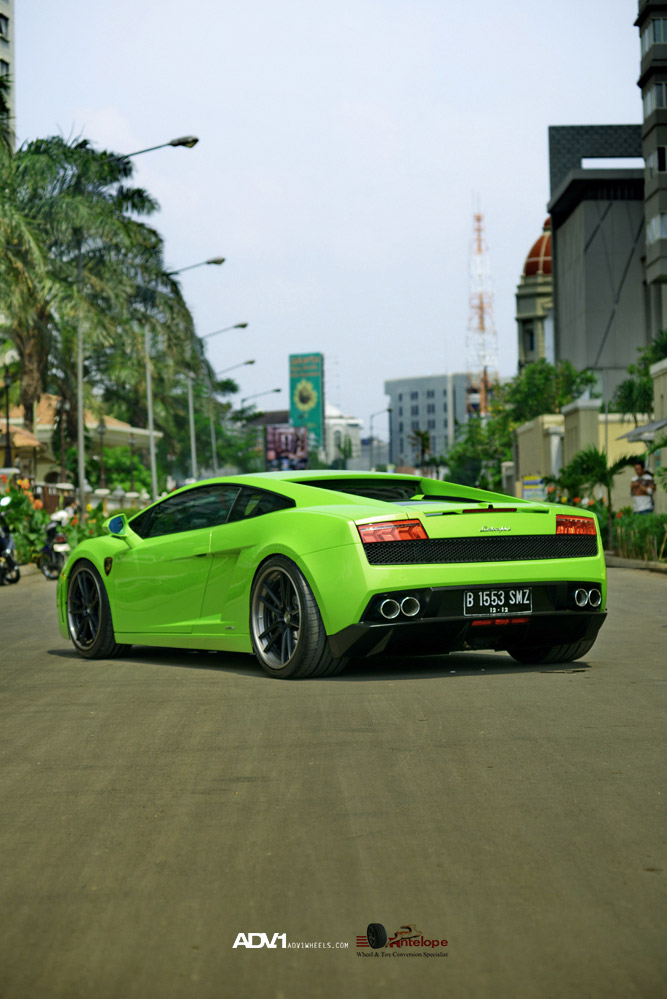 Name:  DSC_0943-1small.jpg
Views: 26
Size:  142.4 KB